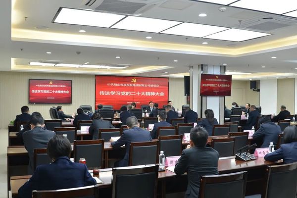 1眉山发展集团召开党委（扩大）会议专题传达学习党的二十大精神和省委、市委、市政府、市国资系统部署要求.jpg